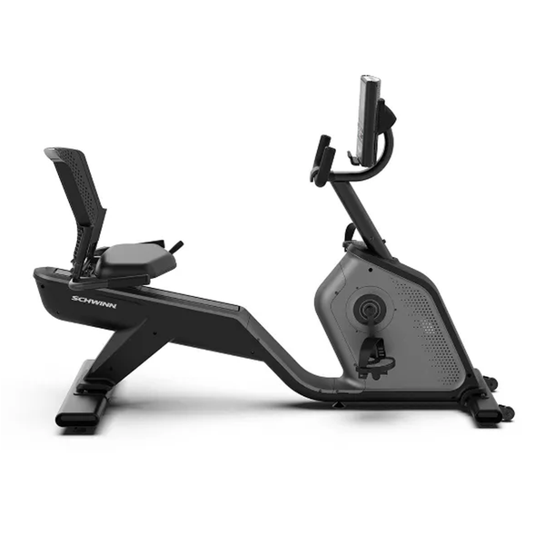 Schwinn 225 recumbent bike online