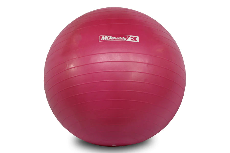 MD Buddy Anti-Burst Stability Ball