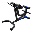 Progression 209 Adjustable Hyperextension Bench