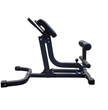 Progression 209 Adjustable Hyperextension Bench