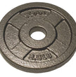 Progression Standard Hammertone Plate Weight - (1