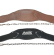 Schiek Dip Belts