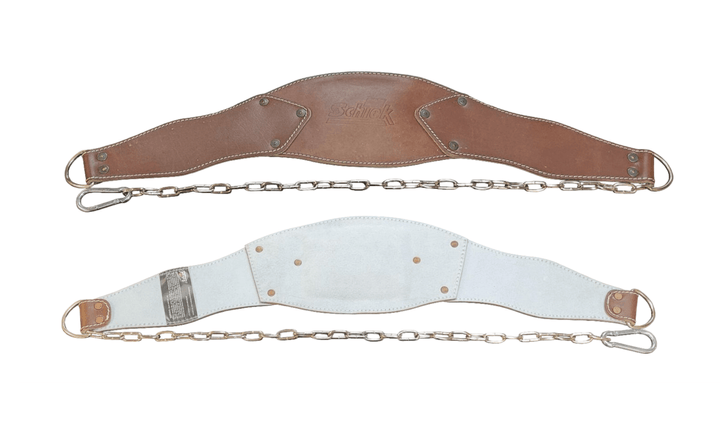 Schiek Dip Belts