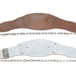 Schiek Dip Belts